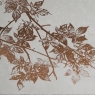 Maple Branches I Framed Print 2