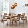 Ercol Romana Dining Table & 6 Chairs 5