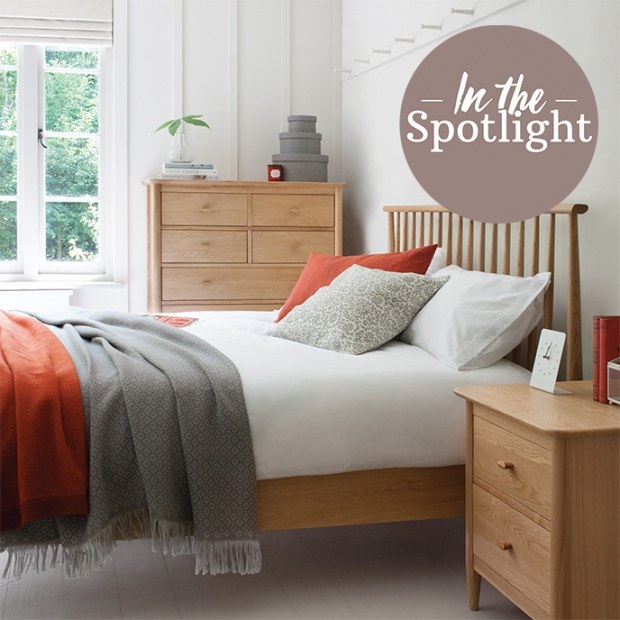 In the Spotlight - Ercol