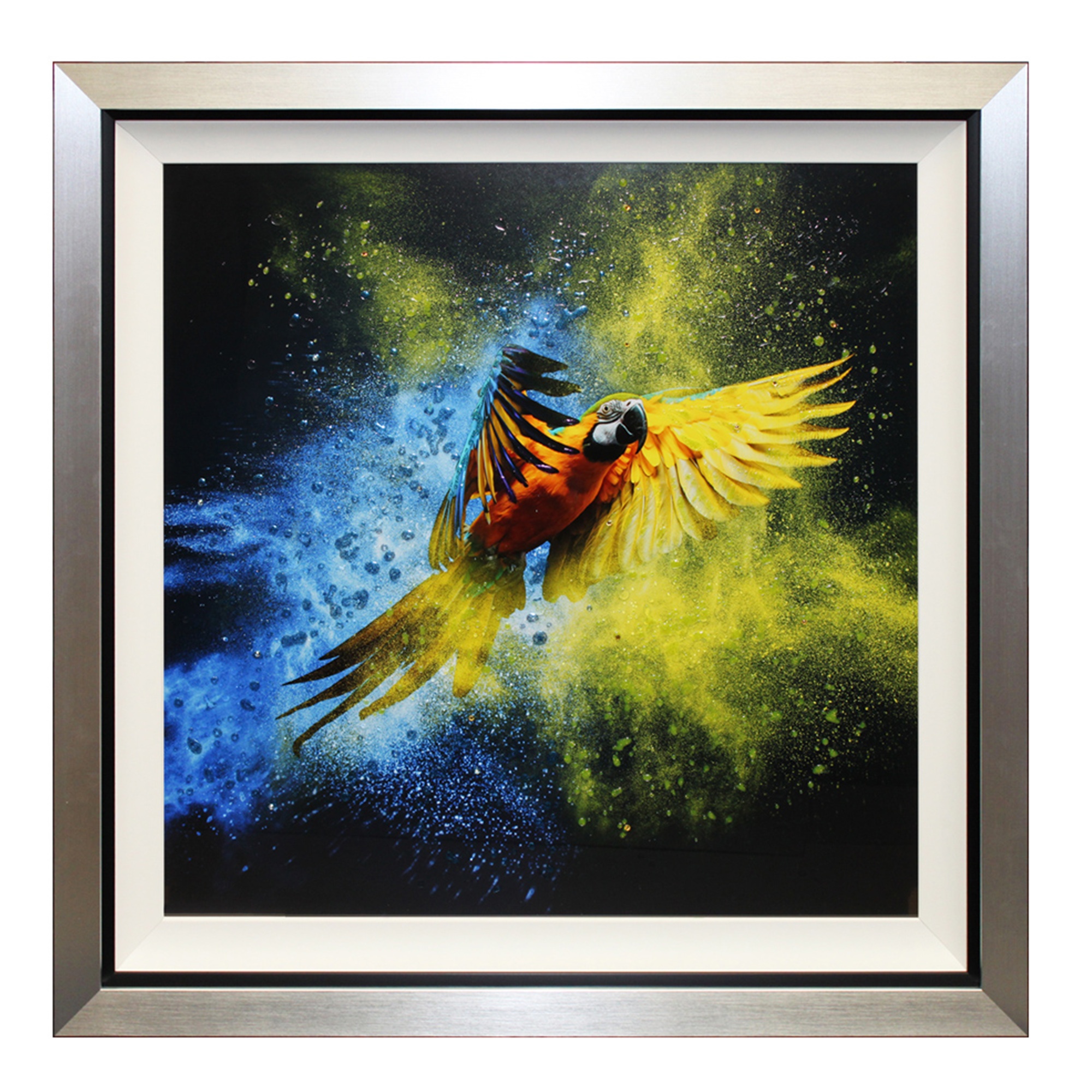 Pictures Flying Colours Iii Liquid Art Framed Print Pictures
