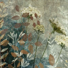 Fanciful Framed Canvas 3