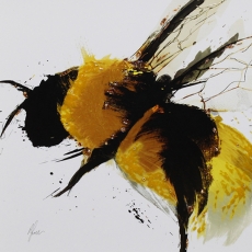 Scruffy Bumblebee Liquid Art II Framed Print