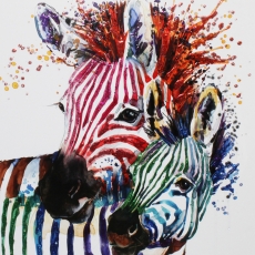 Party Zebras II Liquid Art Framed Print