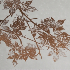 Maple Branches I Framed Print
