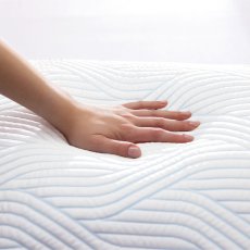 Soft 6