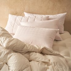Vi Spring English Duck Feater & Down Pillow 5