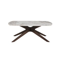 Amelia Coffee Table 1