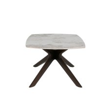 Amelia Coffee Table 3