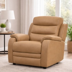 Leather Armchair 3