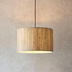 Longshore Ceiling Light 3