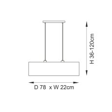 Longshore 2lt Ceiling Light 5