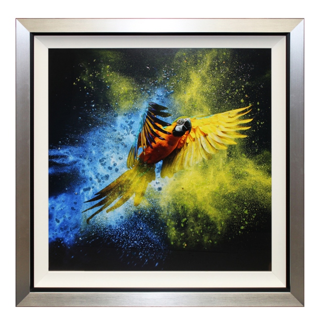 Flying Colours III Liquid Art Framed Print 1