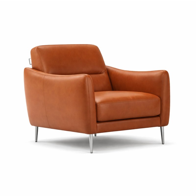 Jupiter Armchair 1