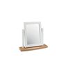 Cookes Collection Camden Two Tone Vanity Mirror