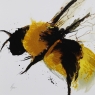 Scruffy Bumblebee Liquid Art II Framed Print 2
