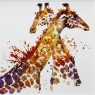 Giraffes Can’t Dance Liquid Art Framed Print 2