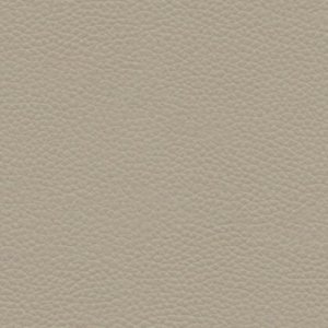 Oxford Mushroom H001