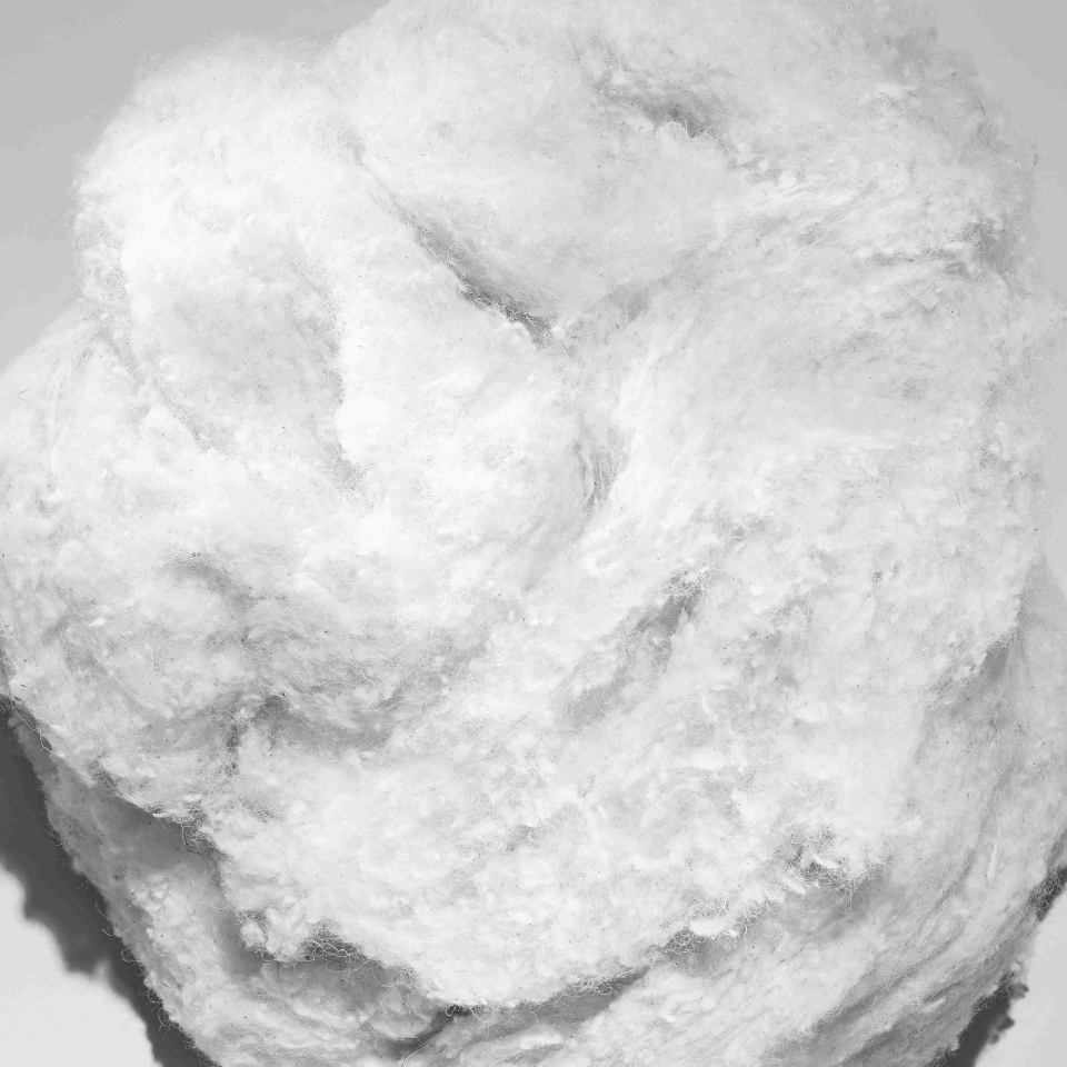 cotton