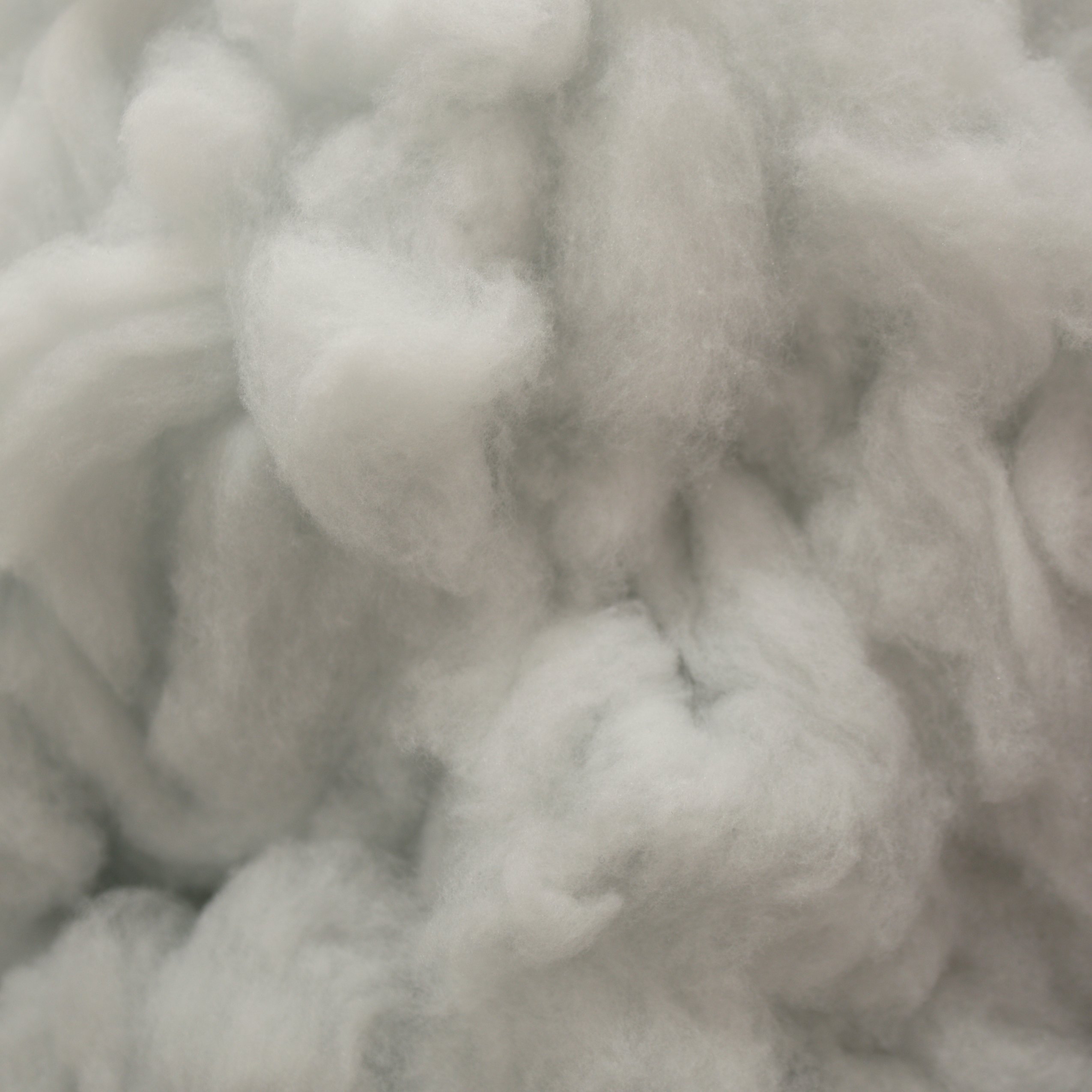 devonshire-wool