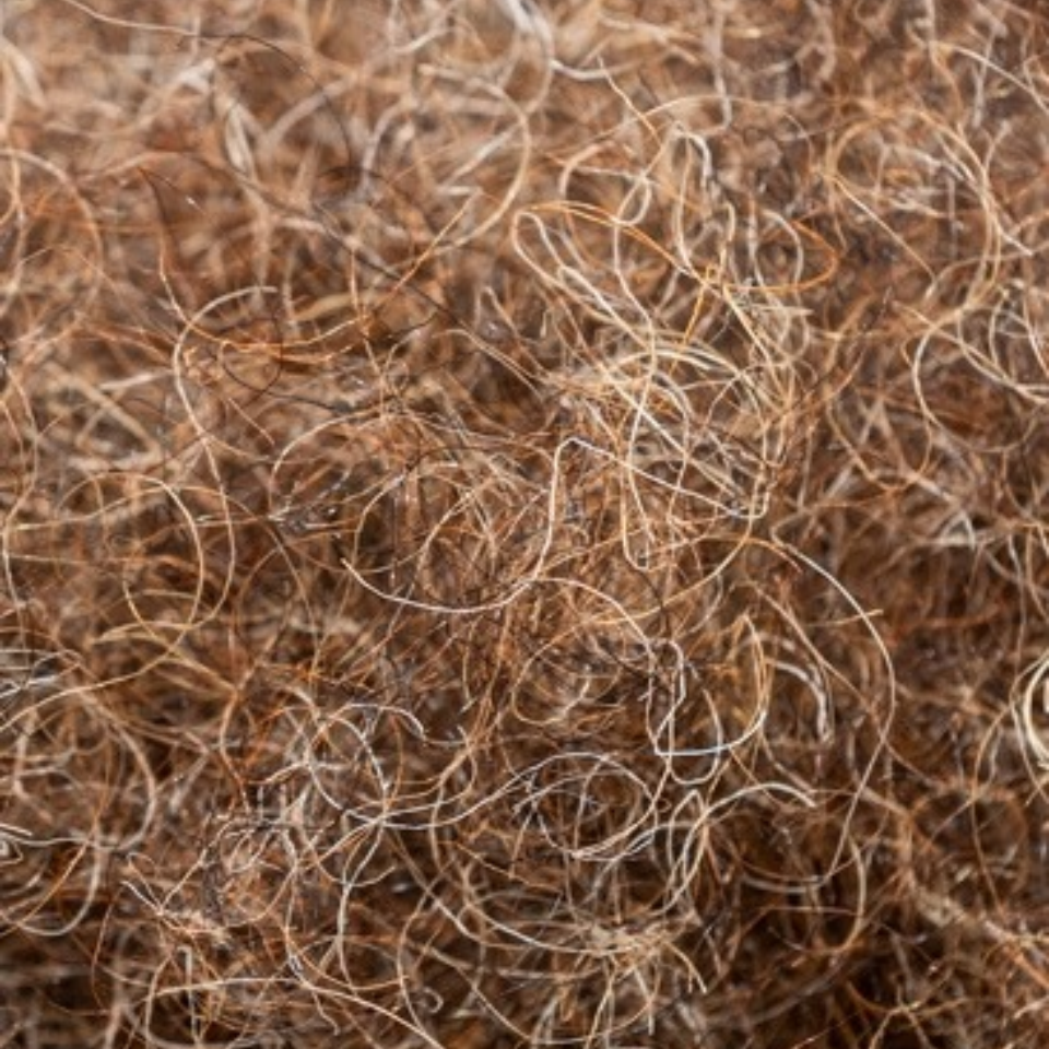 horsehair